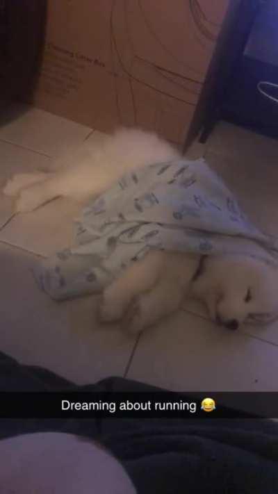 My baby boy has only been home 3 days and smiles every time he sleeps near me 🥺 here is him dreaming about running can’t wait till his next vaccine so I can take him for runs