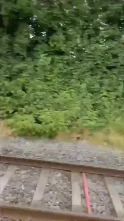 Sorry for the delay to this service. This due to trespassers on the line.