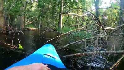 this is why I only kayak in my bathtub.