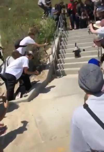 Dog slowly rides a skateboard down a 10-stair.