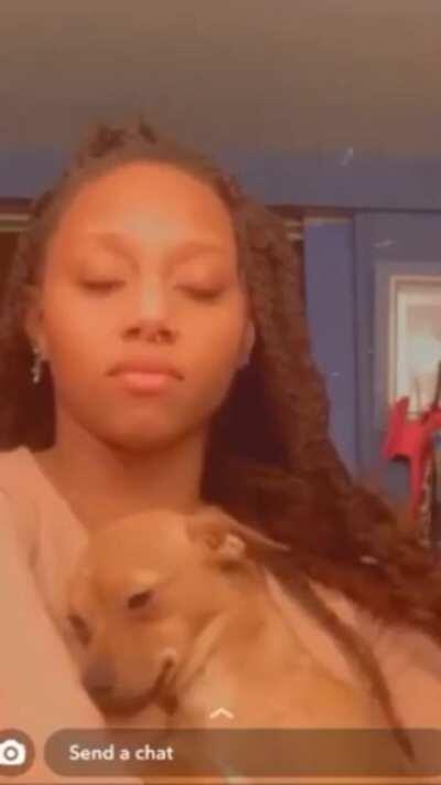 When a dog goes into trash