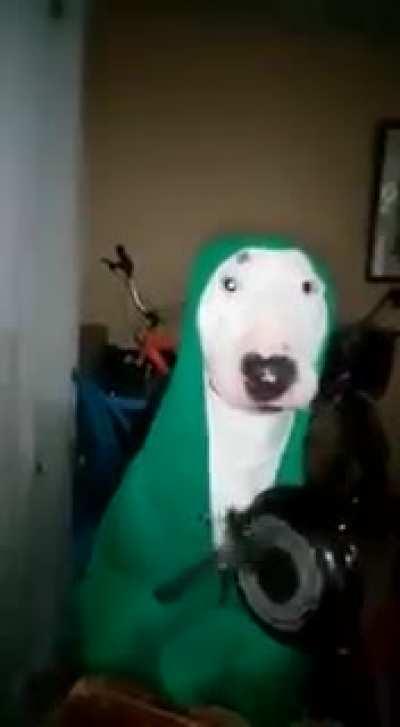 Kızlar: Rüyamda çok zengin oluyordum ve bir evim oluyordu aynı zamanda hoşlandığım çocuk da benden hoşlandığı söylüyordu. Benim Rüyam: