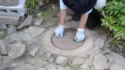 To get the dog out of the sewers