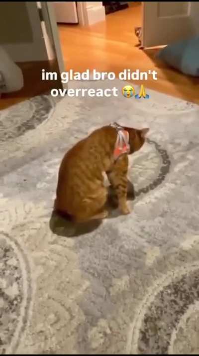 Wunk Takes a Few Steps