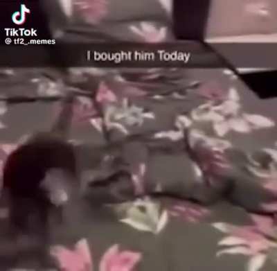 He combats what can't be seen without infrared