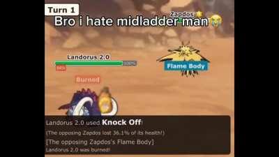 This metagame is rigged