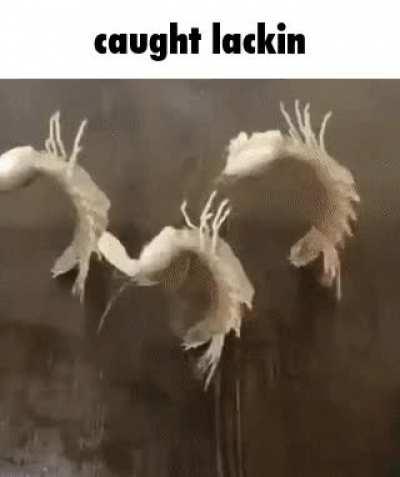 When you commit crimes but the police found you