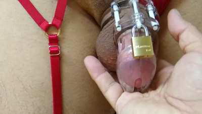 I'm not sure why we bother locking this worthless shit up [OC]