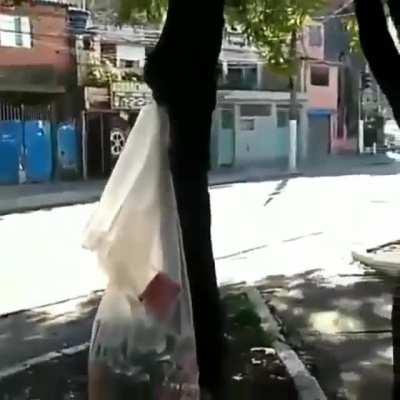 solta primo 😭😭😭