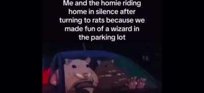 Who Wants To Make Fun of A Wizard With Me? 👉👈