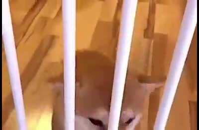 it was at that moment he knew he f up.