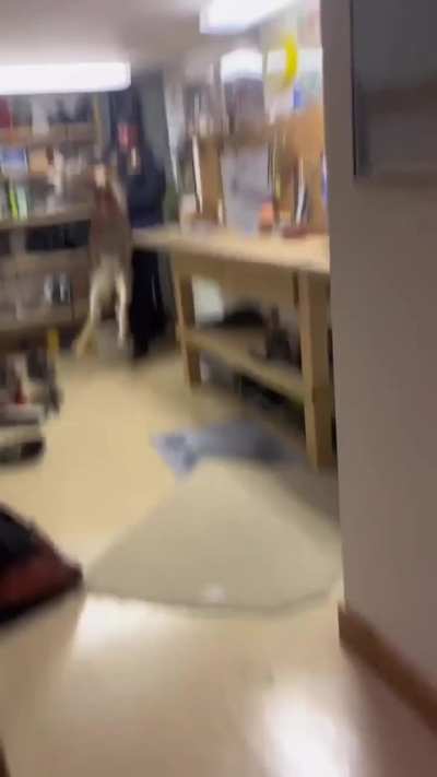 Police officer carrying a deer out of someone's home