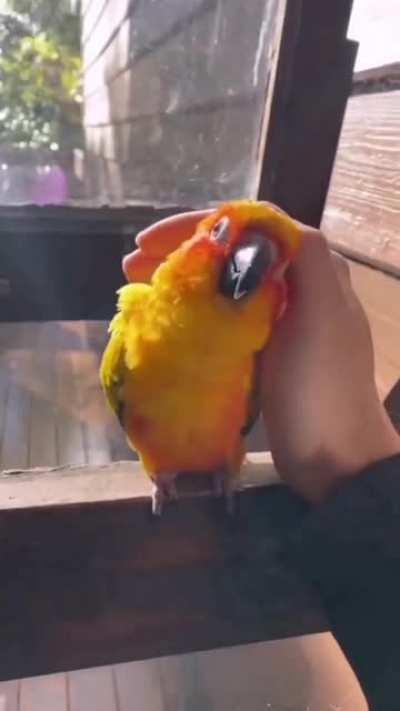 Sunny day and fluffy friend 😊