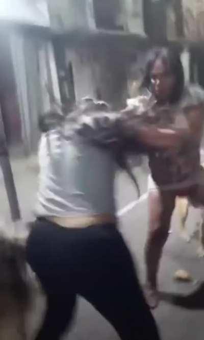 Street fight 🐕