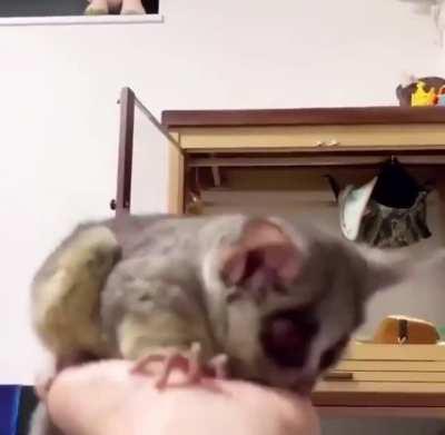 Jump Force Super Attack.