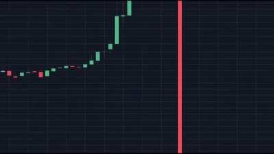 new wsb fomo traders yesterday