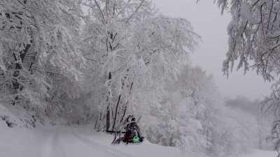 brain dumb can't title