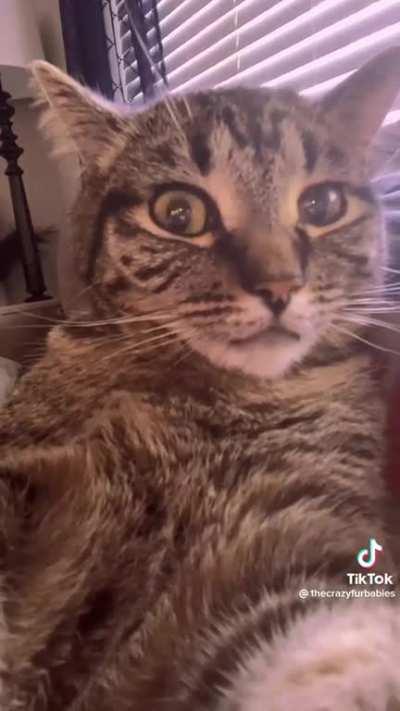 Bombastic side eye 👀