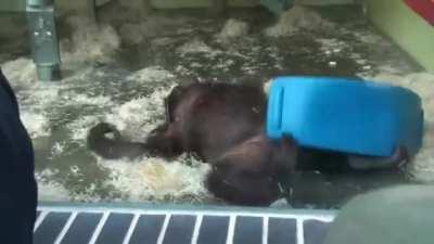 monke fall but with a twist