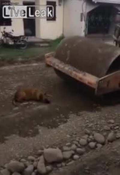 Why would you do that!?