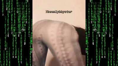 S p r e a d T h a t A $ $