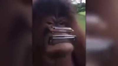 Life could be a dream