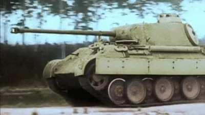 Panther moving at speed