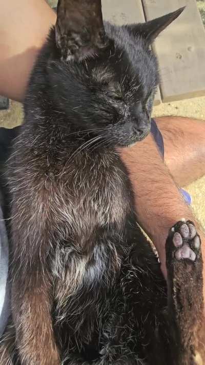 Last rays of sunshine before the rainbow for my boy