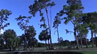 Quick physics lesson for eco-protester.