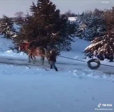 The old horse power in action