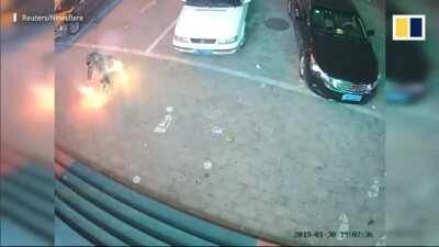 Kids Are Fucking Idiots.