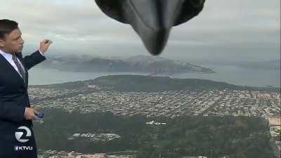 Bird appears in camera on live television