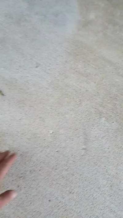 Was told I should have this here