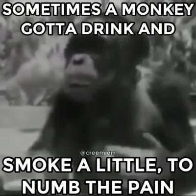 Me when watching a ConnorEatsPants stream and its minecraft