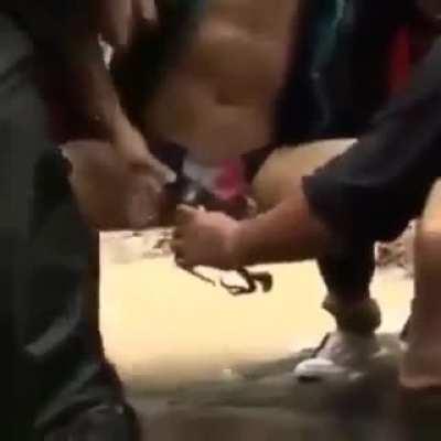 Death By.........Something Else! 😮