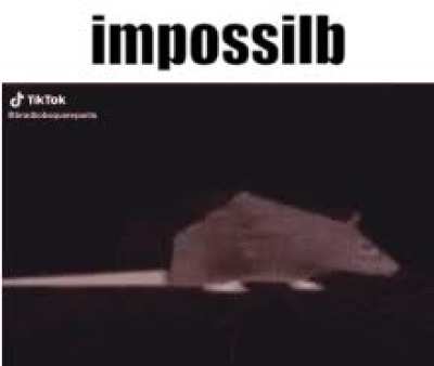 this is a 3d spinning rat with the caption 