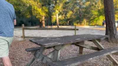 A couple walked out from a path and got quite a view for our first post here!! [gif]