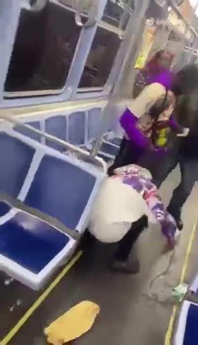 Violent attack on a Chicago train