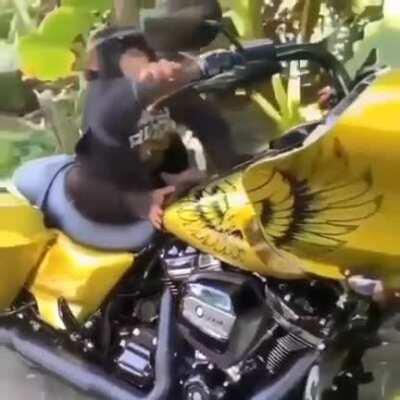 damn no need to flex on us