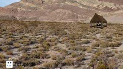 Jesse sees a cow house