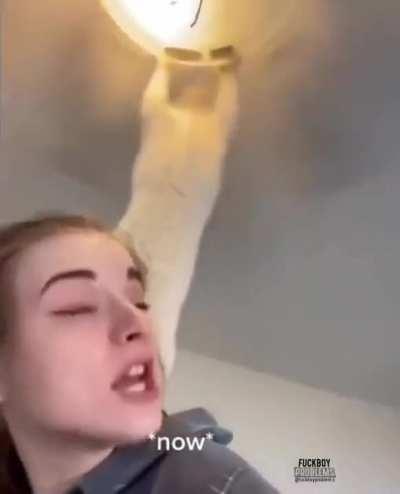 Now what did we learn?