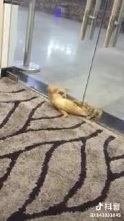 If I commits... I fits...