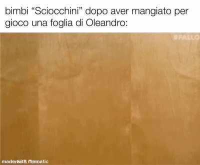 Dai, ammettetelo, tutti hanno mangiato almeno una foglia di una pianta da piccoli