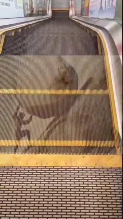 Yet he persisted, he found meaning in his suffering