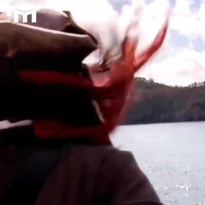 He is Captain Jack Sparrow