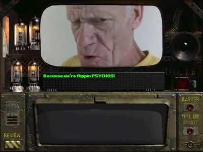 I think I downloaded the wrong fallout version