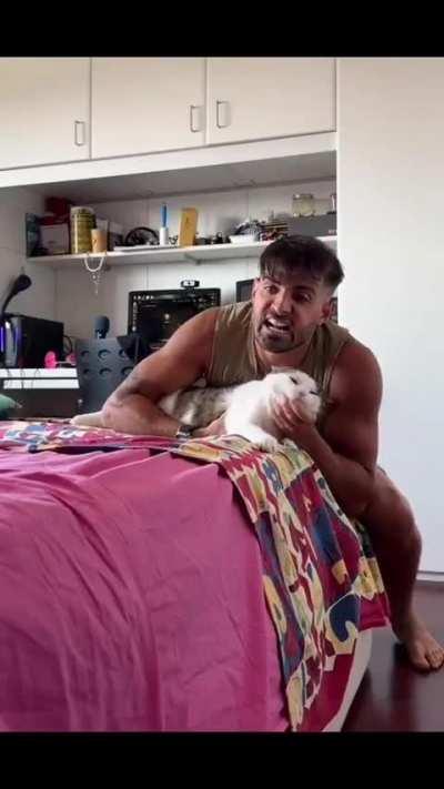 A maneira mais natural do mundo de se reagir ao seu próprio gato