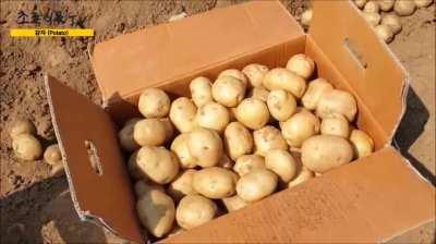 [OC] such a beautiful nation