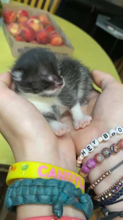 Joaquin made it to his 1 week birthday!