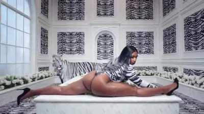 Save. My. Fucking. Video